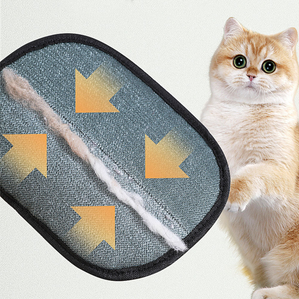 Pet Hair Removal Glove