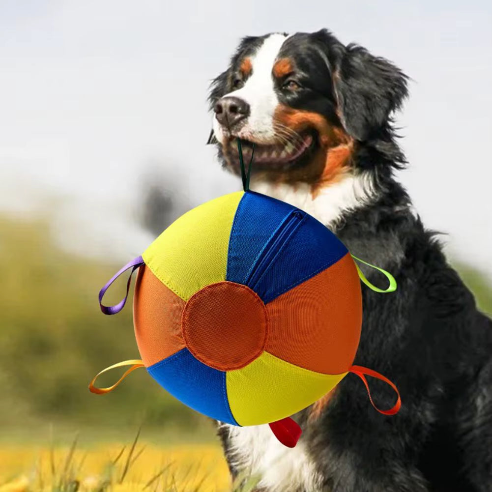 Dog Herding Ball with Cover & Pump – 18" Heavy-Duty
